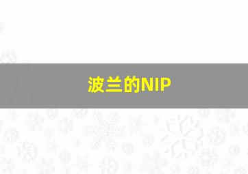 波兰的NIP