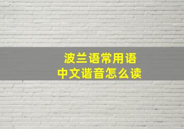 波兰语常用语中文谐音怎么读