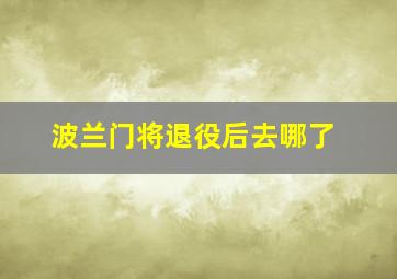 波兰门将退役后去哪了