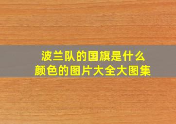 波兰队的国旗是什么颜色的图片大全大图集