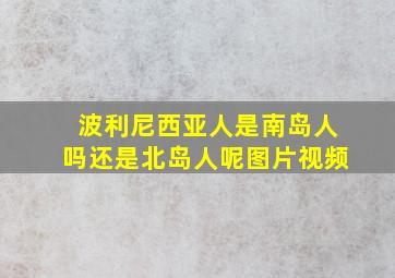 波利尼西亚人是南岛人吗还是北岛人呢图片视频