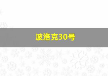 波洛克30号