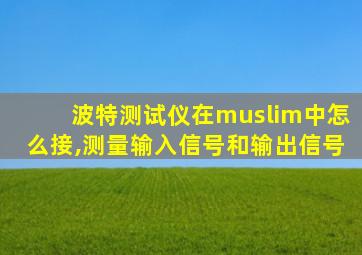 波特测试仪在muslim中怎么接,测量输入信号和输出信号