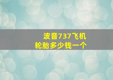 波音737飞机轮胎多少钱一个