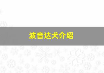 波音达犬介绍