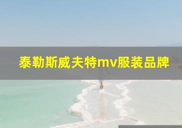 泰勒斯威夫特mv服装品牌