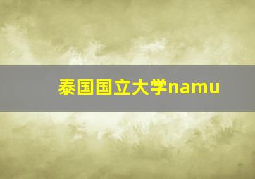 泰国国立大学namu