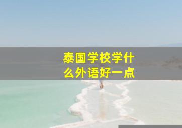 泰国学校学什么外语好一点