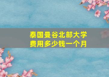 泰国曼谷北部大学费用多少钱一个月