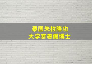 泰国朱拉隆功大学寒暑假博士