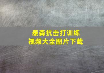 泰森抗击打训练视频大全图片下载