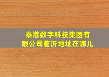 泰港数字科技集团有限公司临沂地址在哪儿