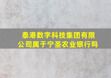 泰港数字科技集团有限公司属于宁圣农业银行吗