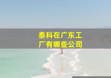 泰科在广东工厂有哪些公司