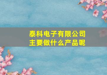 泰科电子有限公司主要做什么产品呢