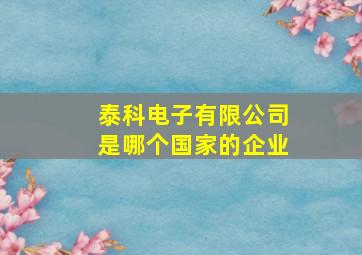 泰科电子有限公司是哪个国家的企业