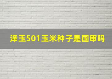 泽玉501玉米种子是国审吗