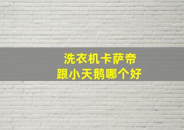 洗衣机卡萨帝跟小天鹅哪个好