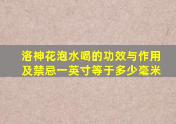 洛神花泡水喝的功效与作用及禁忌一英寸等于多少毫米