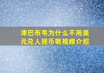 津巴布韦为什么不用美元兑人民币呢视频介绍