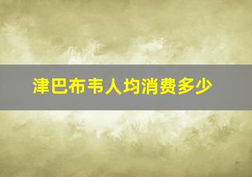 津巴布韦人均消费多少