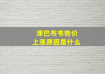 津巴布韦物价上涨原因是什么