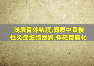 浅表胃体粘膜,间质中量慢性炎症细胞浸润,伴轻度肠化