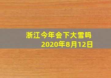 浙江今年会下大雪吗2020年8月12日