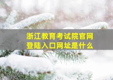 浙江教育考试院官网登陆入口网址是什么