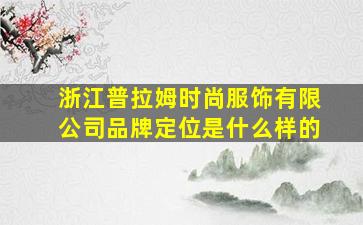 浙江普拉姆时尚服饰有限公司品牌定位是什么样的