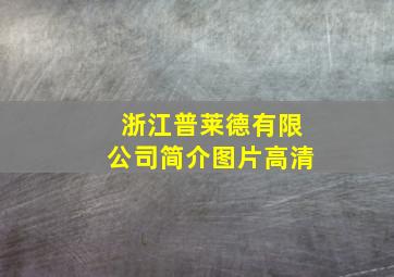 浙江普莱德有限公司简介图片高清