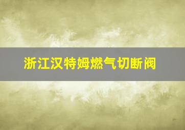 浙江汉特姆燃气切断阀