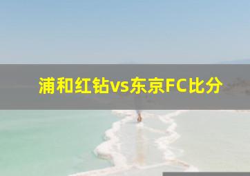 浦和红钻vs东京FC比分