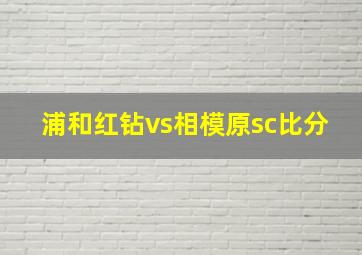 浦和红钻vs相模原sc比分