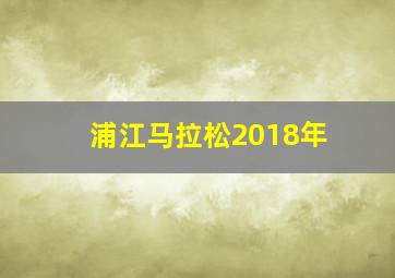 浦江马拉松2018年