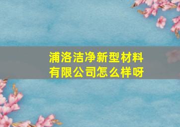 浦洛洁净新型材料有限公司怎么样呀