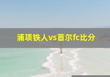 浦项铁人vs首尔fc比分