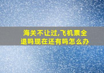 海关不让过,飞机票全退吗现在还有吗怎么办