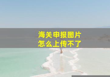 海关申报图片怎么上传不了