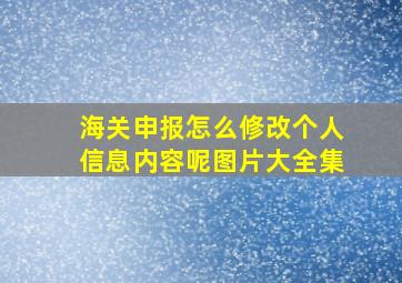 海关申报怎么修改个人信息内容呢图片大全集