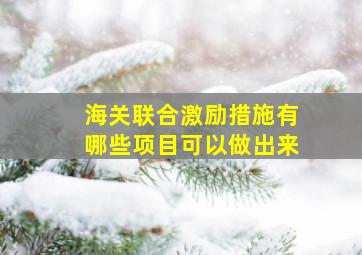 海关联合激励措施有哪些项目可以做出来