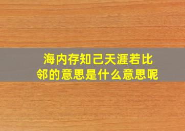 海内存知己天涯若比邻的意思是什么意思呢