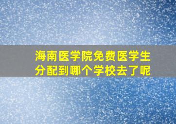 海南医学院免费医学生分配到哪个学校去了呢