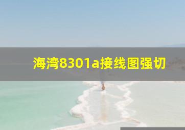 海湾8301a接线图强切