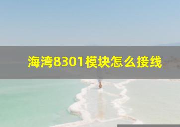 海湾8301模块怎么接线