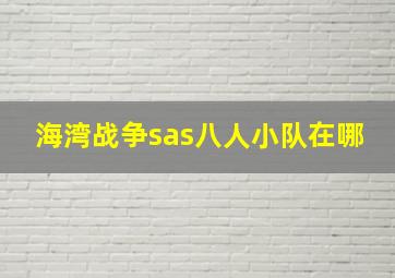 海湾战争sas八人小队在哪