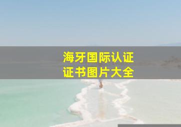 海牙国际认证证书图片大全