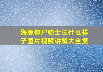 海豚僵尸骑士长什么样子图片视频讲解大全集