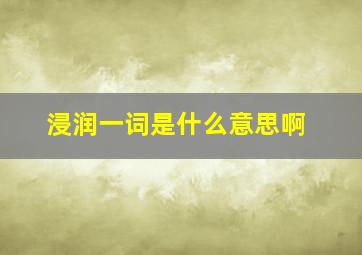 浸润一词是什么意思啊