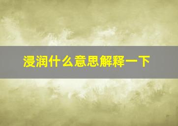 浸润什么意思解释一下